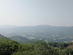 -大屏嶂森林公园