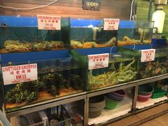 环境-真浪花园海鲜餐馆