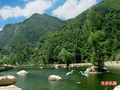 -驼梁风景区