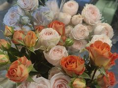 -云海肴·汽锅鸡·云南代表菜(美罗城店)