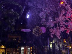 -胡桃里音乐酒馆(下沙店)