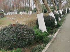 -金银湖国家城市湿地公园