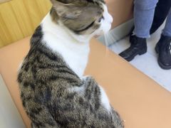 -达爱动物医院·犬猫分区·CT·复杂眼科(远洋山水分院)