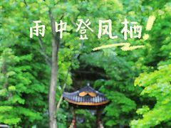 -凤栖山