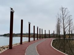 -滴水湖