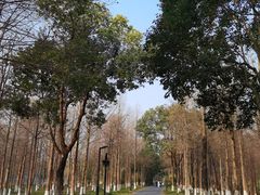 -西溪国家湿地公园