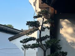 -河坊街景区