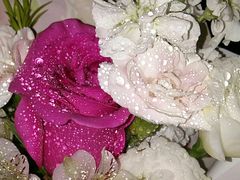 -新荟城(望京店)