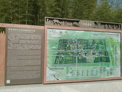 -黄海国家森林公园