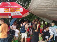 -从化深英荔枝黄皮龙眼采摘园