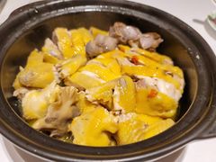 清炖鸡-花城苑广府菜(侨鑫店)