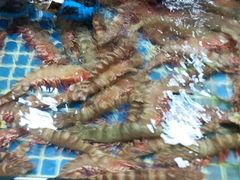 -板桥海鲜广场(文明东店)
