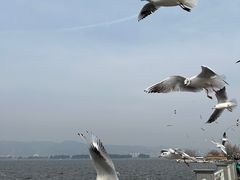-海埂大坝