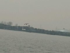 android_upload_pic-溱湖国家湿地公园