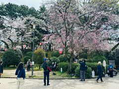 -名古屋城