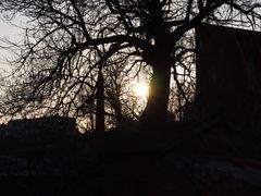 -清风小镇闯关东影视基地