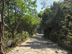 -小南山公园
