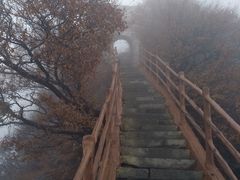 -神农山景区