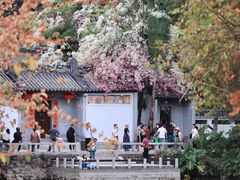 -深圳国际园林花卉博览园