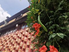 -南京市民俗博物馆(甘熙故居)