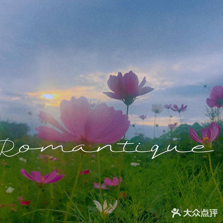 成都情侣必去的公园，很适合拍照