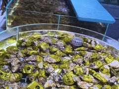 -聚盛源蒸汽海鲜火锅烤肉自助(巨川金海岸购物广场店)