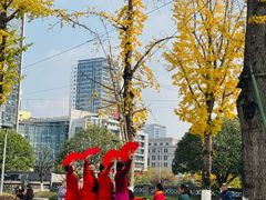 -两江幸福广场