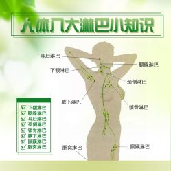 -新新美容城