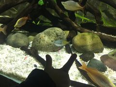 -重庆欢乐海底世界
