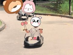 -圣淘沙天际线斜坡滑车