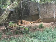 -西安秦岭野生动物园