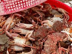 -西天尾扁食卤肉(湄洲农贸市场店)
