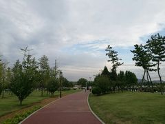 -羊亭河湿地公园