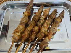 -民族烤羊·烤羊肉串·烤羊排(南城店)
