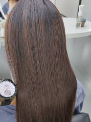 -T8 SALON