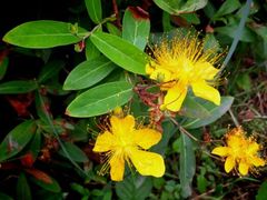 android_upload_pic-贵阳市花溪国家城市湿地公园