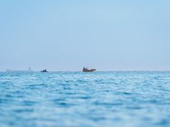 -南澳岛打卡果汁冰公司