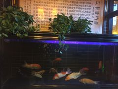 -戴师傅川西坝子(彩泉旗舰店)
