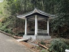 -滴水岩森林公园