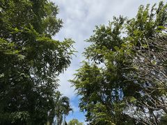 -深圳国际园林花卉博览园