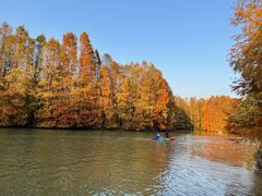 -上海海湾国家森林公园