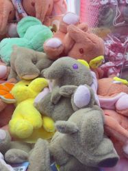 点击看大图 -乐立方大冒险(领展店)