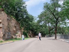 -沂蒙山旅游区云蒙景区(蒙山国家森林公园)