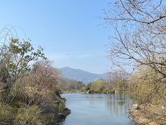 -雅达·阳羡溪山小镇中心