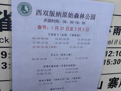 -西双版纳原始森林公园