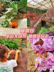 -欢乐舟·舟舟玩乐园