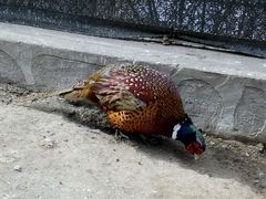 android_upload_pic-迎泽公园