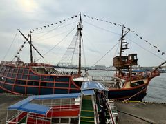 -大阪海游馆