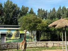 -北京野生动物园