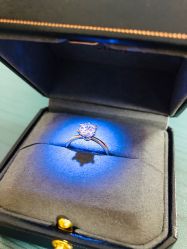 -Zbird钻石小鸟·钻戒婚戒定制高端珠宝私人定制中心